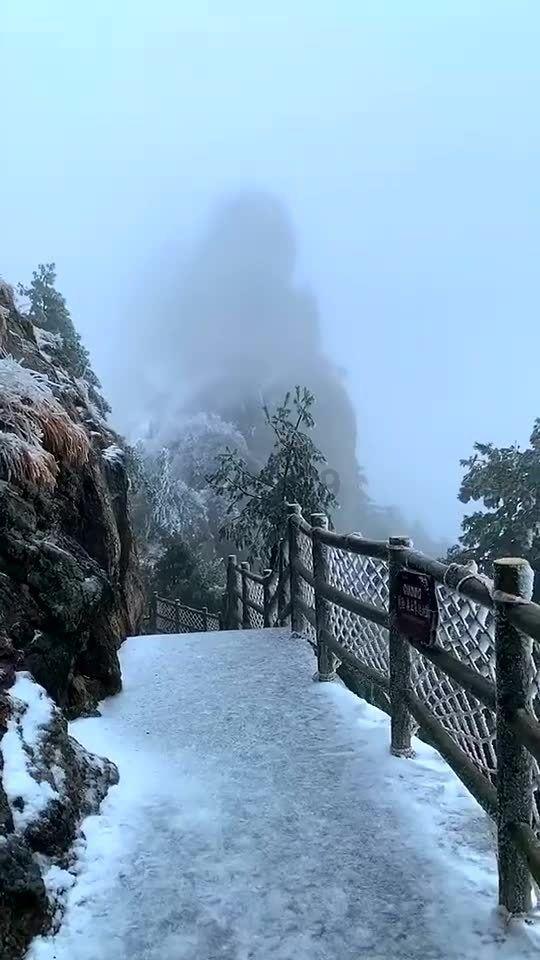 逃离电梯间