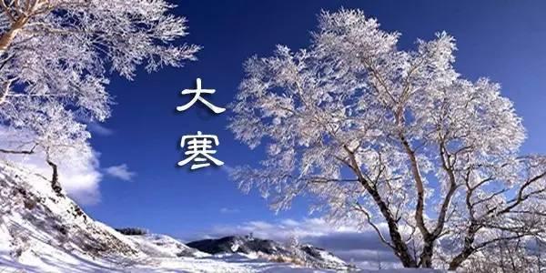 春雨直播app