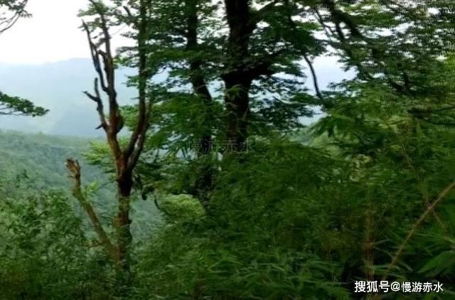 复兴亚洲盘中异动 早盘大幅拉升16.22%