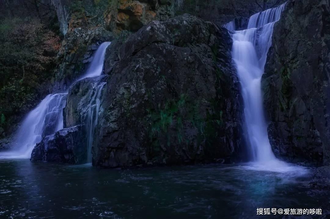 卡通骆驼救援