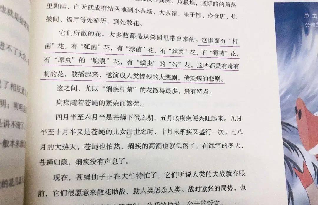 极限赛车手