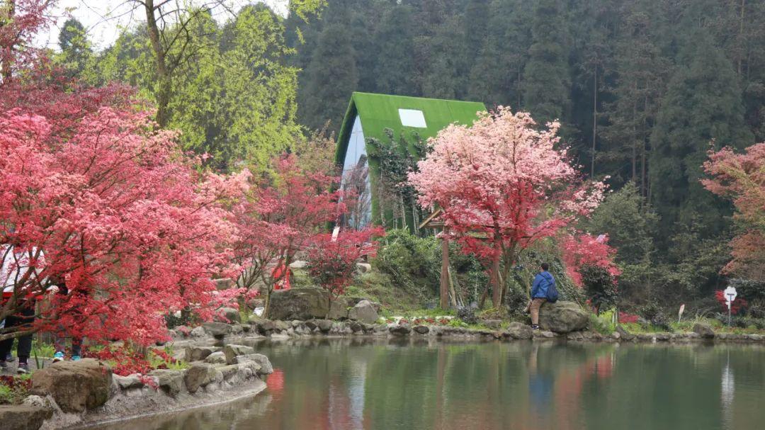 探索神秘小屋7