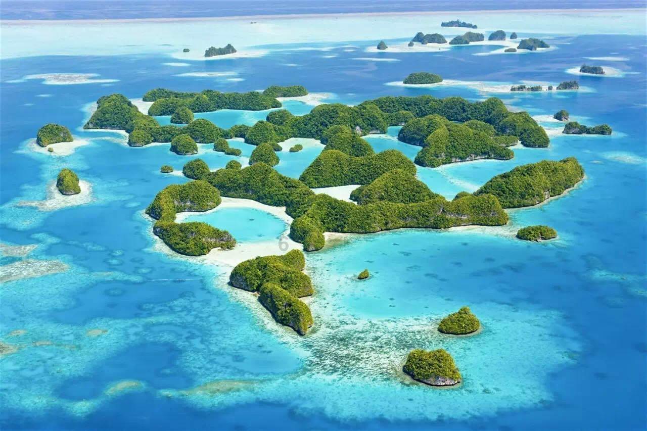 数码宝贝8