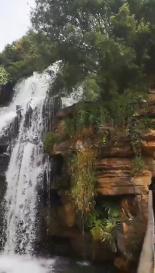研学旅行就业方向游戏画面