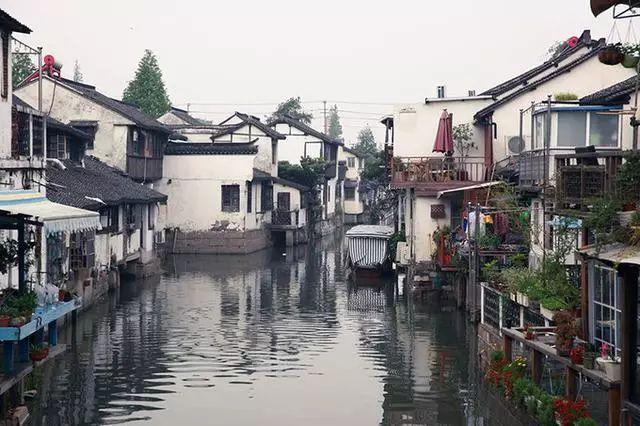 美妙的夏天